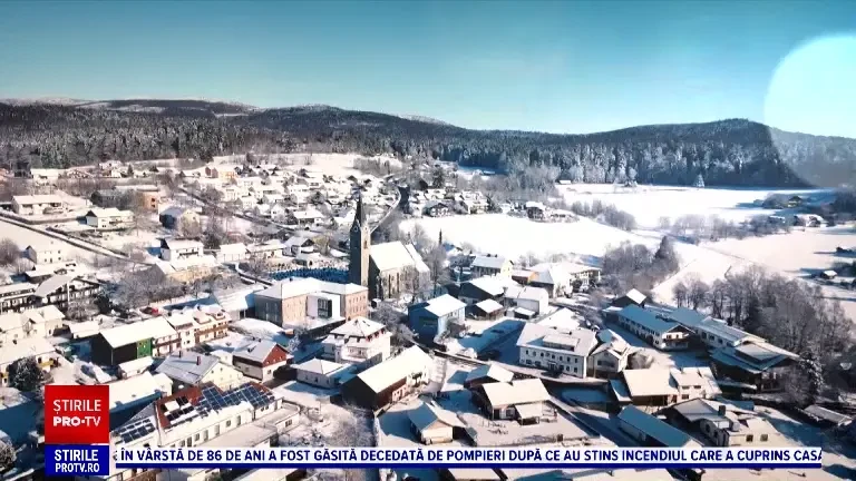 Inspectorul PRO. În România, pădurile sunt distruse de hoți. În Germania, pădurile îngrijite produc milioane de euro