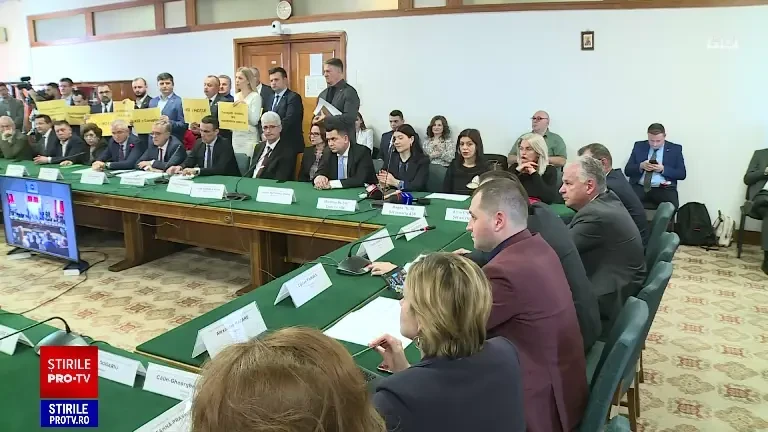 Șefii ASF știau de trei ani de problemele de la Euroins. Justificările din fața senatorilor: „nu aveam voie să îi oprim”