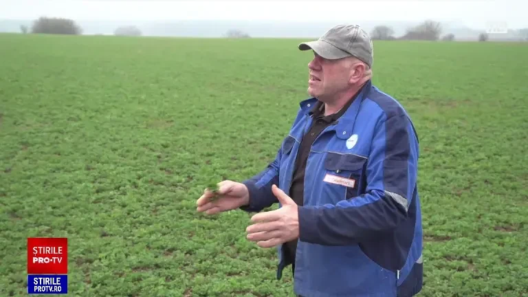 Lipsa apei, o problemă mondială discutată de ONU. Prognoza Comisiei Europene pentru recoltele din 2023 ale României | HARTA