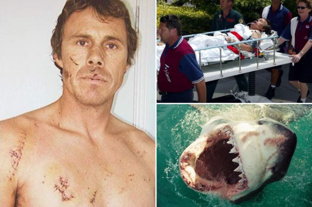 ”Am fost înghițit de un mare rechin alb. Nu voi uita niciodată cum a fost”. Povestea îngrozitoare a bărbatului mâncat de viu