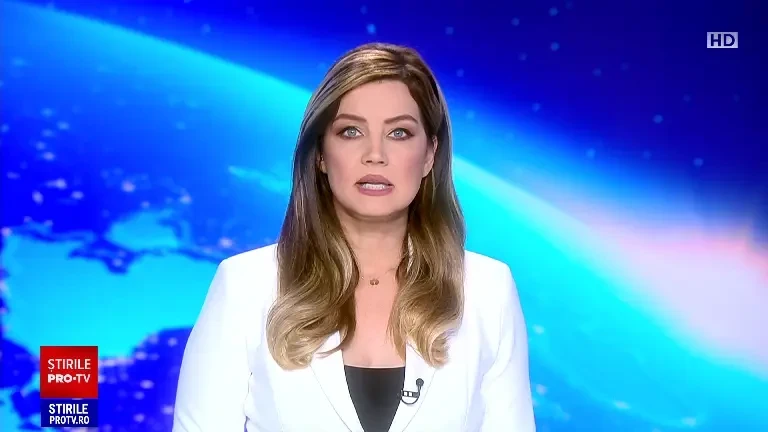 Ministerul Culturii va face demersuri pentru a recupera tabloul care se presupune că i-ar fi aparținut lui Nicolae Ceaușescu