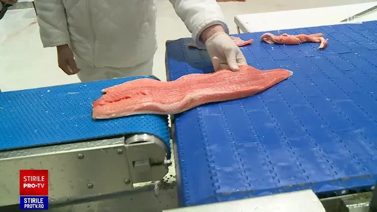 Dezlegarea la pește vine cu prețuri pe măsură. Somonul și păstrăvul sunt cele mai scumpe specii