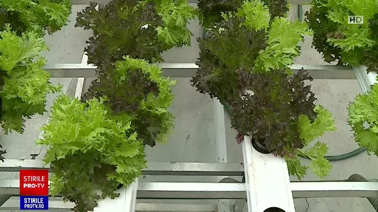 Mai multe produse românești în marile magazine, scopul premierului Ciucă. Concluziile întâlnirii cu retailerii