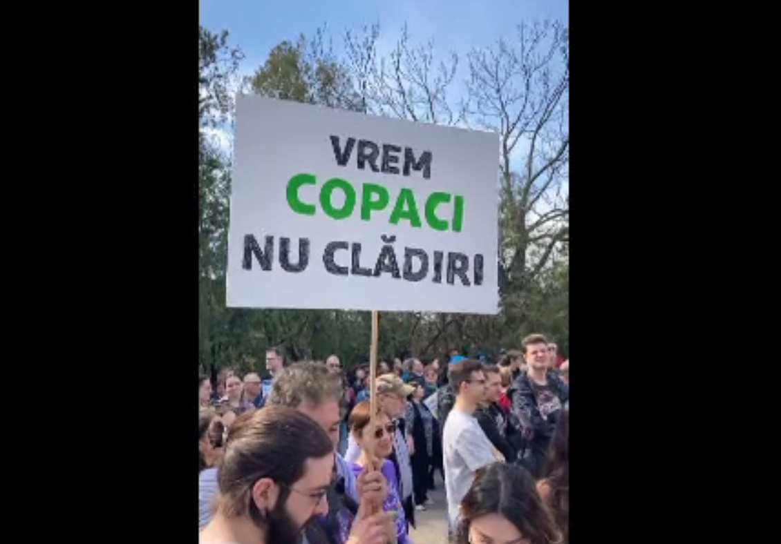 Protest în Parcul IOR din București, pentru salvarea copacilor. Analiza legalității retrocedării terenului este pe final