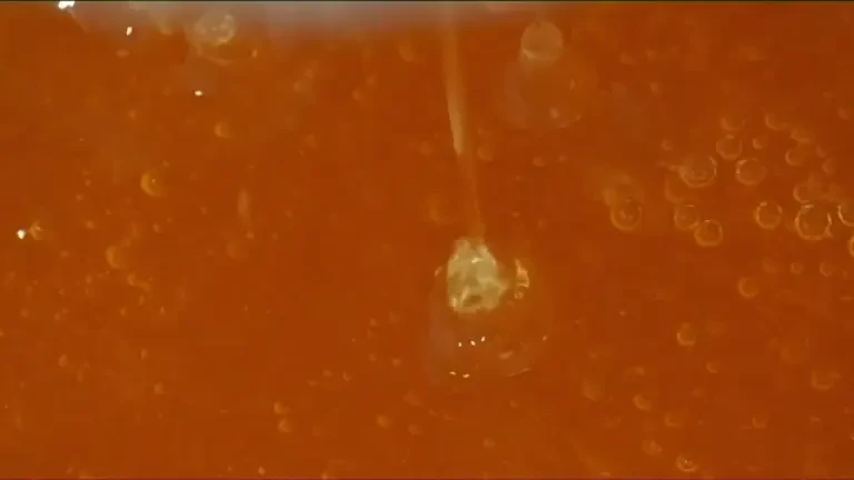 Raport șocant: Jumătate din mierea consumată în Europa este contrafăcută