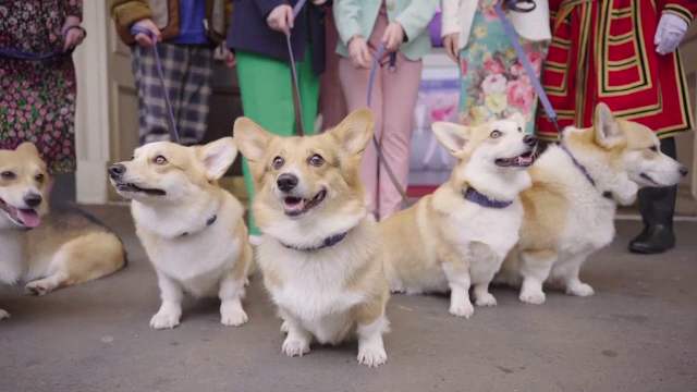 Câini Corgi, invitați de onoare la Madame Tussaud. Statuile de ceară ale familiei regale au fost schimbate | FOTO