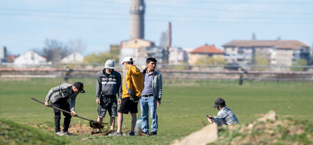 Vietnamezi la vânătoare de popândăi, în Timișoara. Animalele protejate de lege sunt mâncate