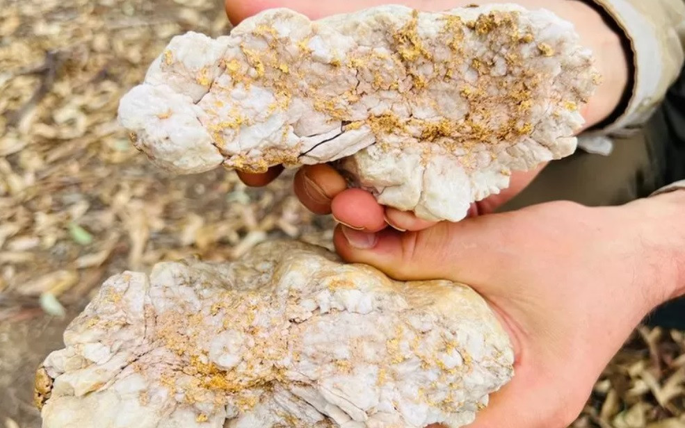 “Am fost şocat. Se întâmplă o dată în viaţă”. A descoperit o avere cu un detector de metale