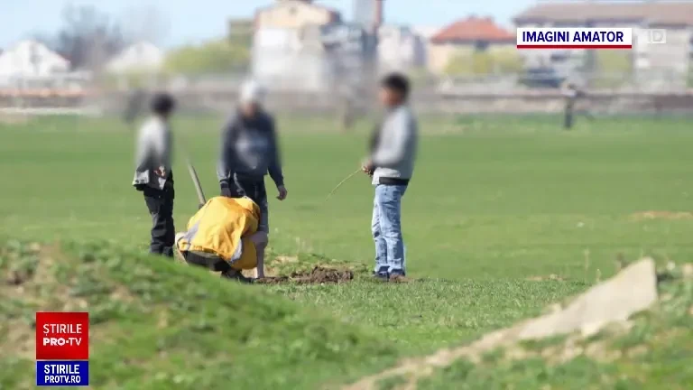 Vietnamezi la vânătoare de popândăi, în Timișoara. Animalele protejate de lege sunt mâncate