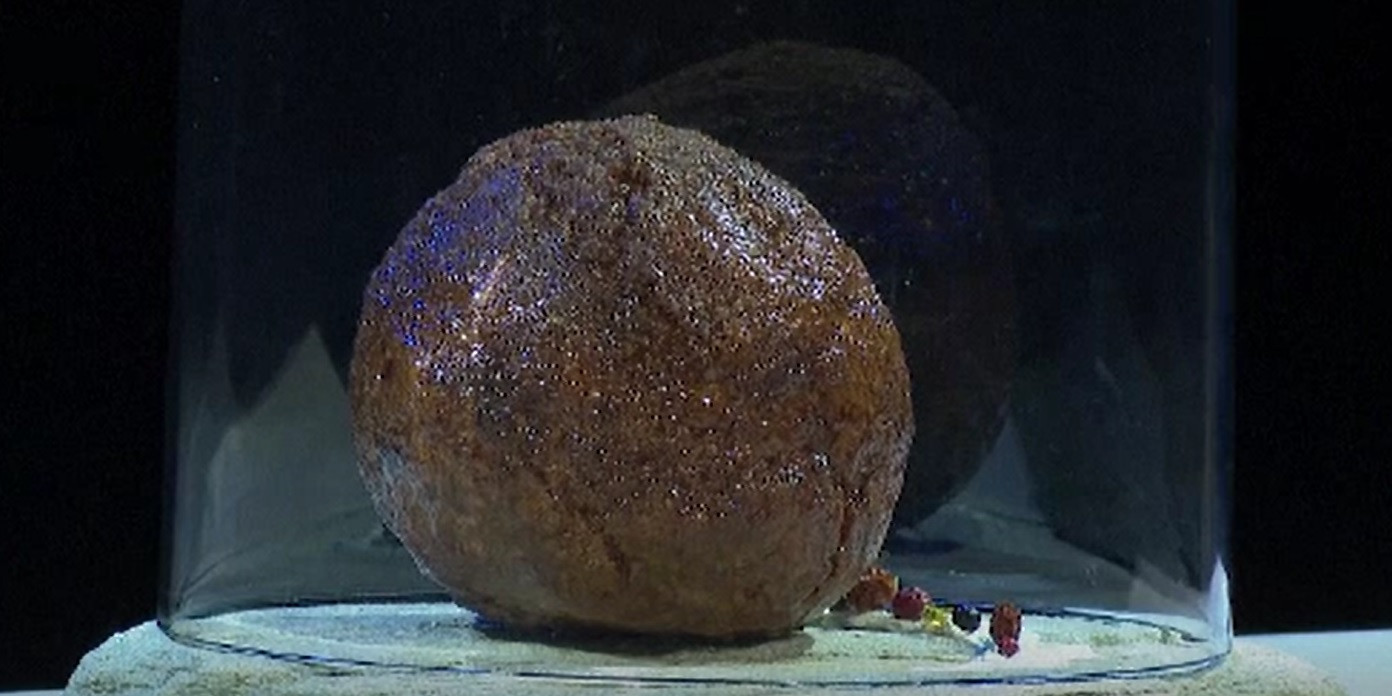 A apărut chifteaua din carne de mamut, crescută în laborator