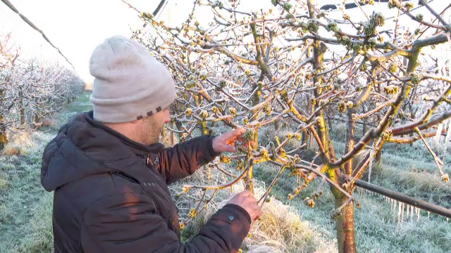 Probleme pe drumurile naționale din cauza poleiului. Vremea rea afectează și proprietarii de livezi