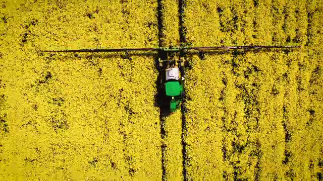 Paradoxul economiei românești: producție mare de cereale, dar deficit uriaș la carne, lapte și brânzeturi