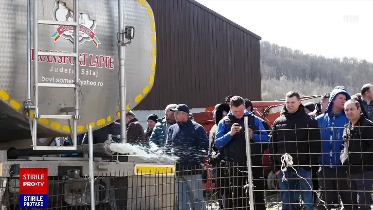 "Ni s-au oferit prețuri de batjocură". Crescătorii de animale aruncă la gunoi mii de litri de lapte în semn de protest