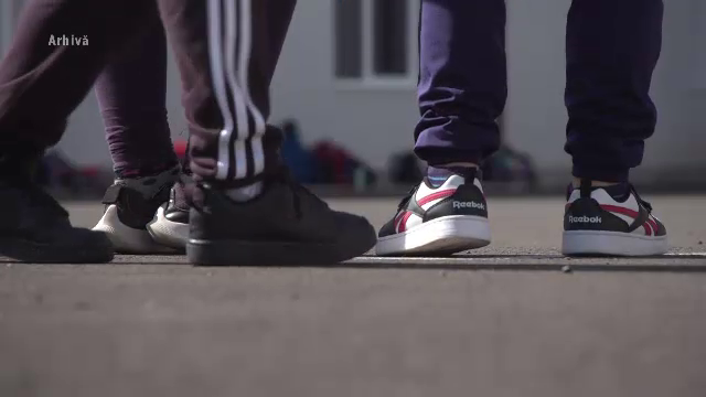 Detalii înfiorătoare în cazul germanului care a violat doi minori la Arad. Chinurile copiilor au început în 2017