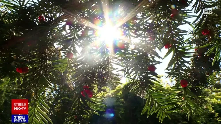 Doi polițiști au fost trimiși în judecată pentru că au ignorat fata vândută de tată pe bere și 50 de lei, în Covasna