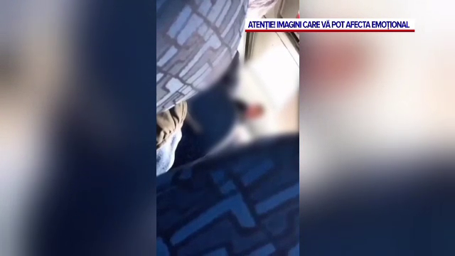 „M-a agresat verbal, îmi pare rău că am reacționat așa”. Șoferul microbuzului care a bătut o pasageră a fost suspendat