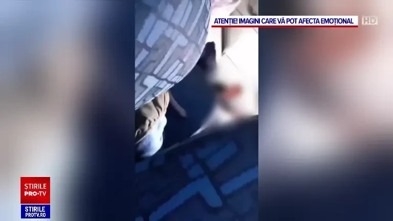 Momentul în care o bătrână este lovită de șoferul unui microbuz pentru că se mișca prea încet | VIDEO