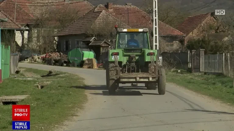 Animale găsite moarte într-o fermă din Cluj. Polițiștii încearcă să afle cine se face vinovat