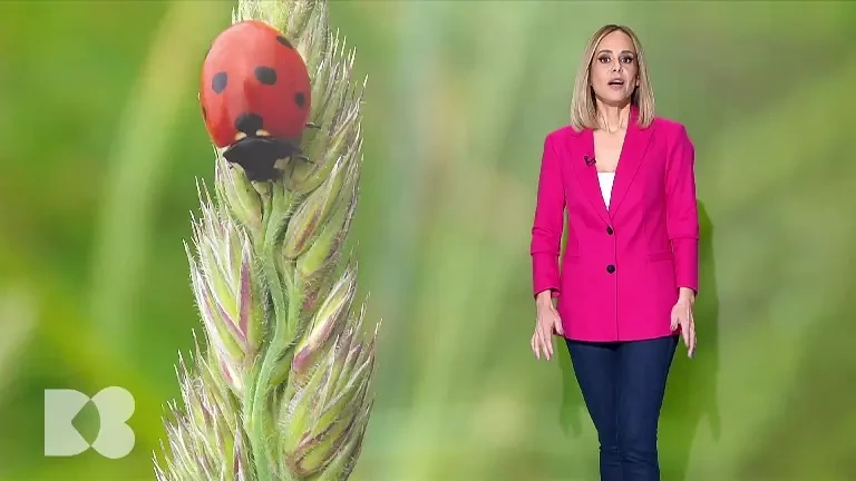 Ce este și cum apare infarctul de miocard. Semnele pe care nu ar trebui să le ignori