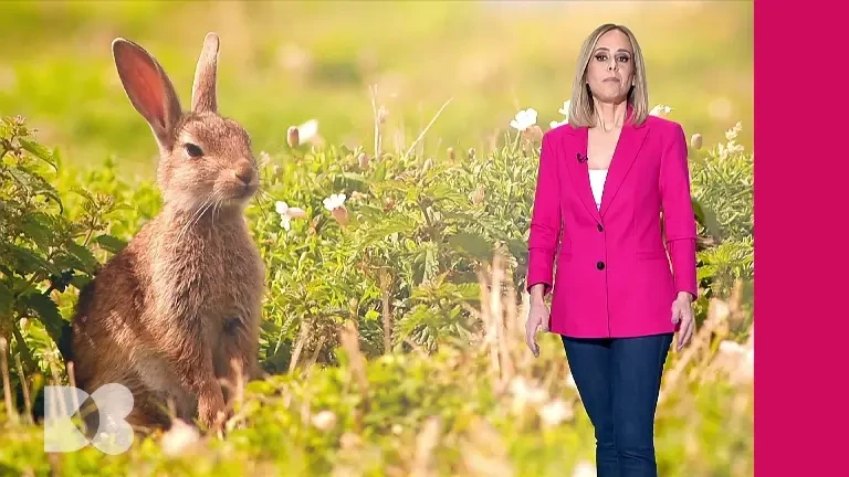 Ce este anemia aplastică. Boala se vindecă doar cu transplant de celule stem de la o rudă compatibilă