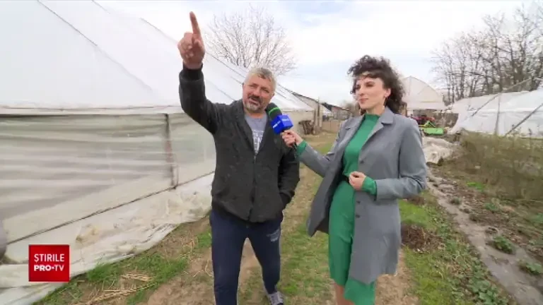 Dezastru în agricultură. Aproape toate recoltele de legume și cereale au fost pe minus în 2022