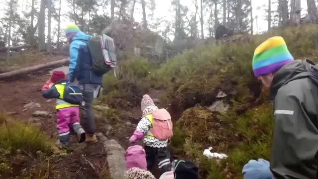 Metoda suedeză. De ce își duc profesorii elevii în pădure în mod constant: ”E mult mai bine pentru copii”