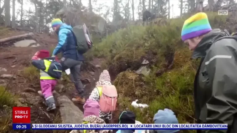 Metoda suedeză. De ce își duc profesorii elevii în pădure în mod constant: ”E mult mai bine pentru copii”