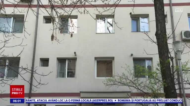 Unde era mama fetiței de 2 ani care a căzut de la etaj în Timișoara în momentul incidentului. În casă era și concubinul ei