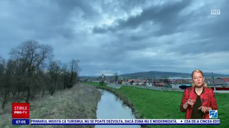 Supe, sosuri și prăjituri din urzici. Plantele au fost ingredinetul principal al unui brunch organizat pentru zeci de turiști