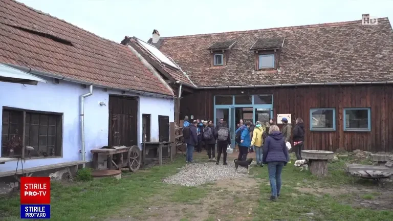 Supe, sosuri și prăjituri din urzici. Plantele au fost ingredinetul principal al unui brunch organizat pentru zeci de turiști