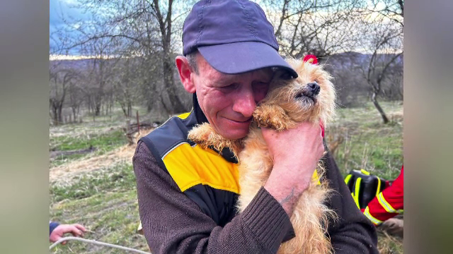 Final fericit pentru o cățelușă din Argeș. Pompierii au reușit să o scoată dintr-o fântână după o săptămână de căutări