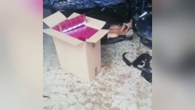 Milioane de țigarete de contrabandă aduse din Bulgaria în România, confiscate. În acte figurau drept fructe de mare