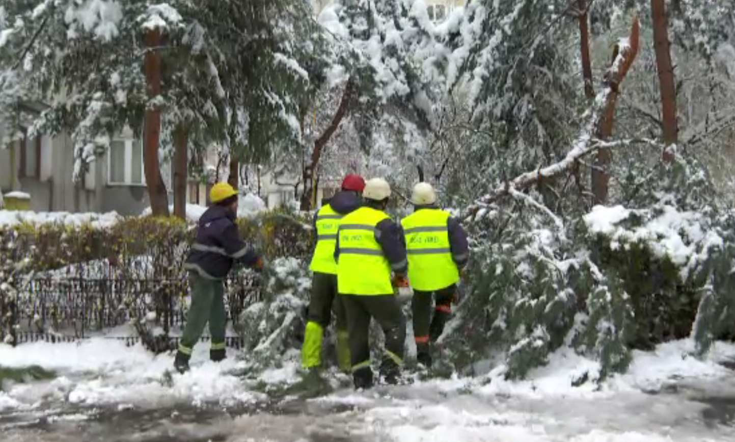 Arbori rupți sub greutatea zăpezii de aprilie, la Brașov. Peste 100 au fost îndepărtați de echipele de intervenție