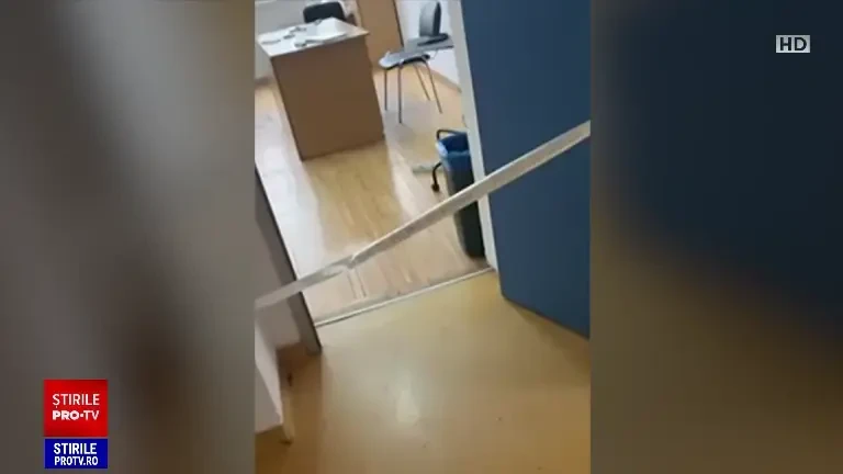 „S-a enervat și a scos un cuțit”. Mărturiile colegilor agresorului care și-a înjunghiat profesoara de japoneză cu un cuțit