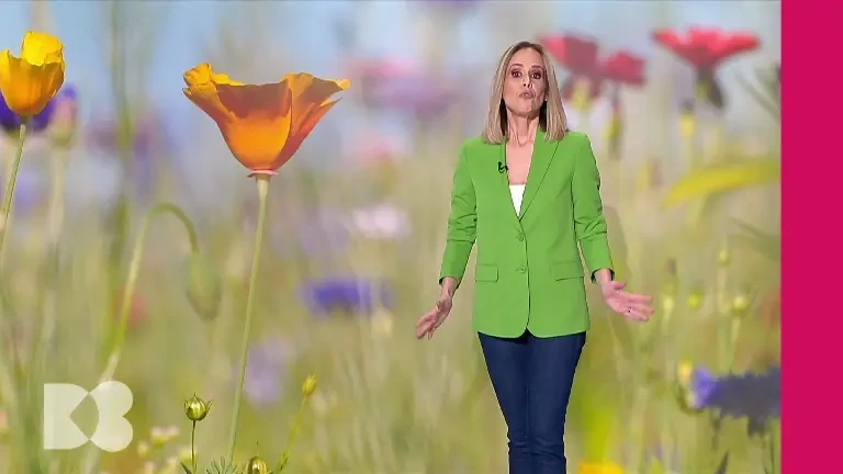 Fumatul duce la creșterea numărului de globule roșii din sânge. Este o adaptare la un toxic permanent