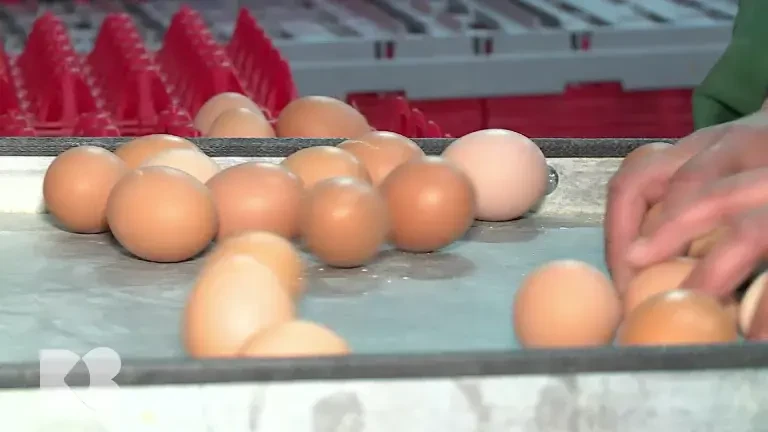 De ce consumul mai mare de proteine înseamnă și o pierdere în greutate mai rapidă