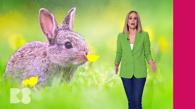 Cât de dăunătoare sunt prăjelile în organismul nostru și de ce nu este bine să luăm medicamente pentru bilă