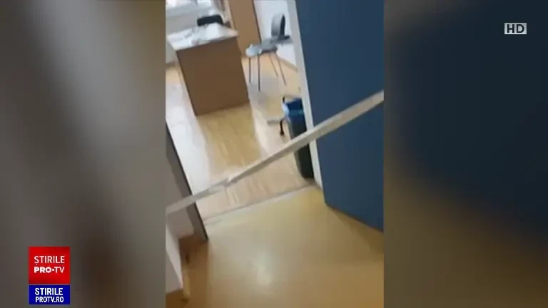 Reacția profesoarei de la liceul Ion Creangă, după ce a fost înjunghiată de un elev. Ce a declarat băiatul