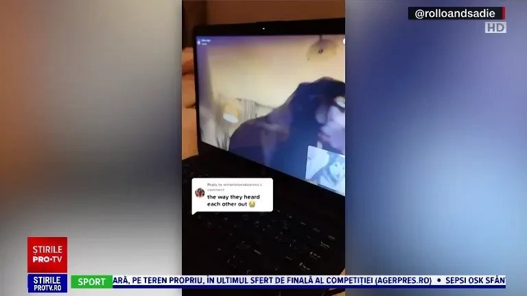 Obicei neobișnuit. Cum reacționează doi câini când se văd prin apel video