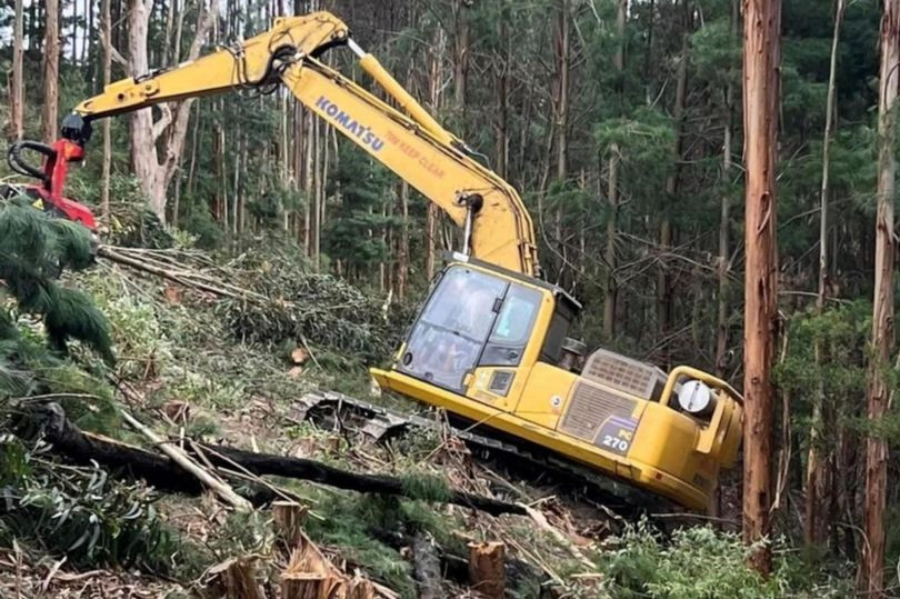 A dat zoom pe imagine și a rămas șocată de un detaliu straniu. O femeie a văzut fantoma unui copil într-o fotografie banală