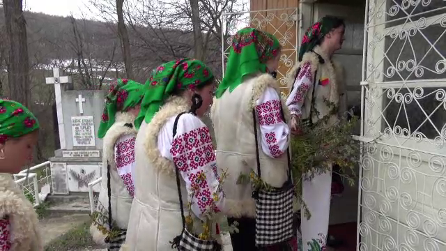 Ce simbolizează ramurile de salcie și de ce trebuie culese în Duminica de Florii