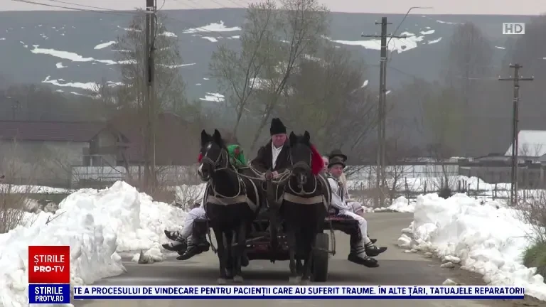 Ce simbolizează ramurile de salcie și de ce trebuie culese în Duminica de Florii