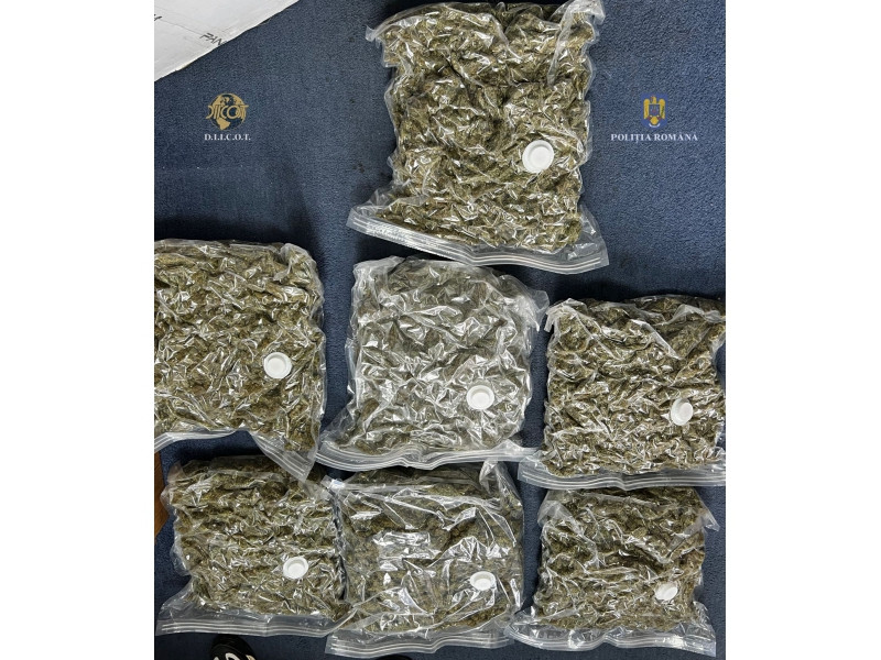 Bărbat prins în flagrant în timp ce vindea 7 kg de canabis pe care îl cultivase în grădina unei case, în Craiova