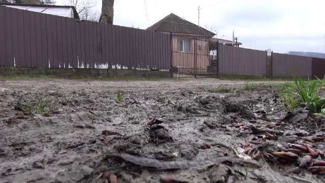 O primărie din județul Bacău este obligată prin instanță să asfalteze un drum după ce a pierdut procesul cu un localnic