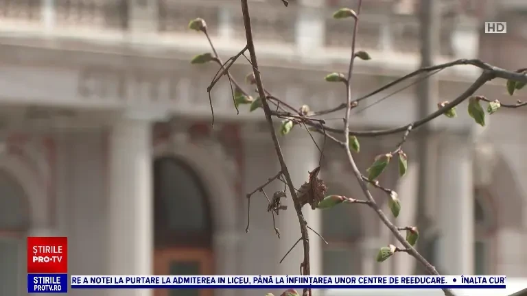 A început primul proces din România legat de climă. „În continuare pădurile nu sunt protejate”