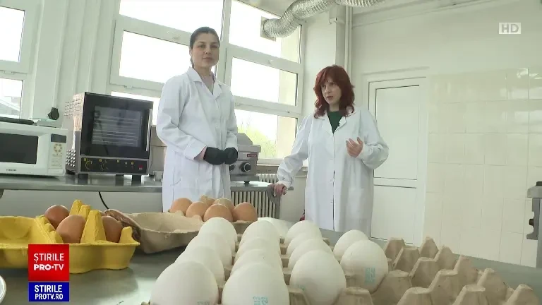 Cum să obținem ouăle perfecte pentru masa de Paște. Sfaturi pentru gospodine de la specialiști