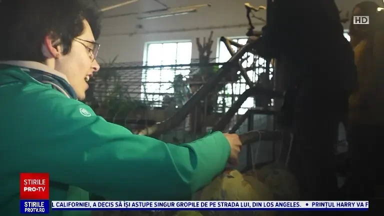 Ouă cu surprize pentru animalele de la grădina zoologică din Târgu Mureș. Ce se afla în interior