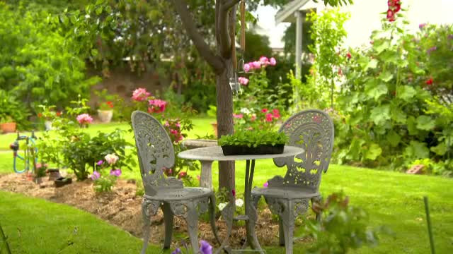 România importă flori și arbori de sute de milioane € anual. Amenajarea unei grădini de 200 mp poate costa 10.000 €