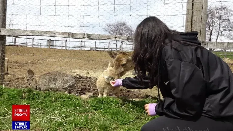 „Nici n-am ajuns bine și a trebuit să gust pălinca”. Gazdele din Maramureș i-au așteptat pe turiști cum se cuvine de Paște