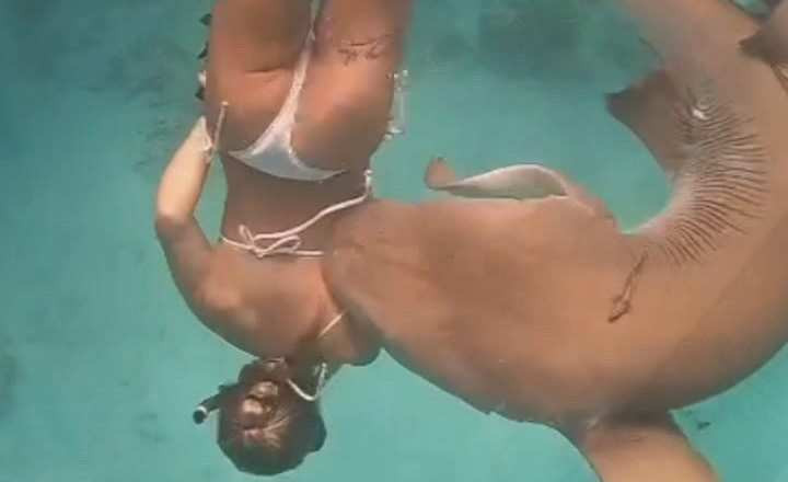 Momentul în care o tânără este mușcată de un rechin uriaș, în timp ce făcea scufundări în Maldive. VIDEO